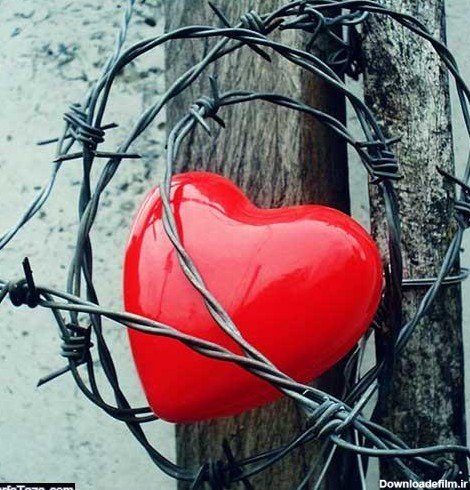  عکس قلب برای پروفایل تلگرام