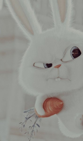  والپیپر ست عاشقانه متحرک