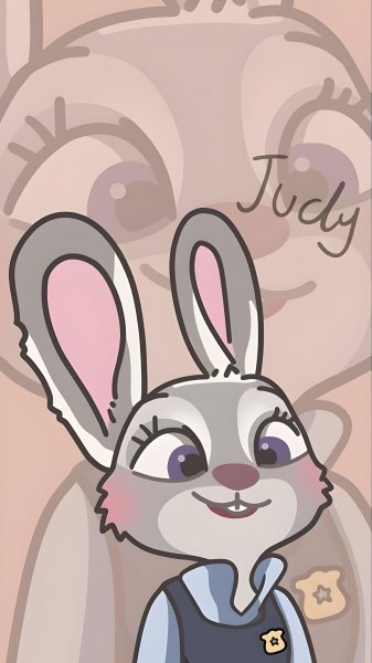  بک گراند ست دونفره