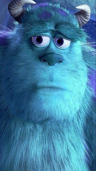  عکس سالیوان و بو برای پروفایل