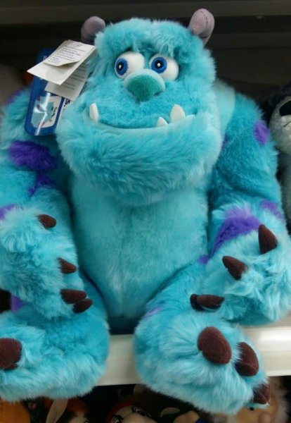  عکس سالیوان و بو برای بک گراند