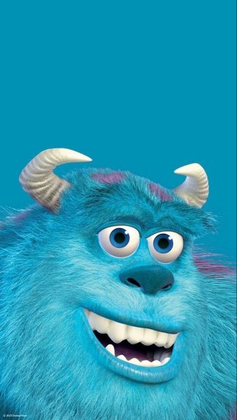  عکس سالیوان و بو برای بک گراند