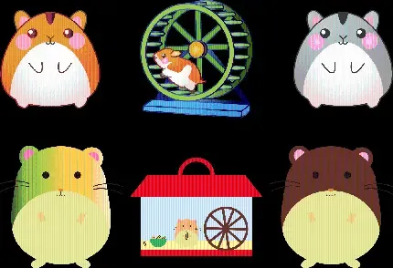  عکس سالیوان و مایک