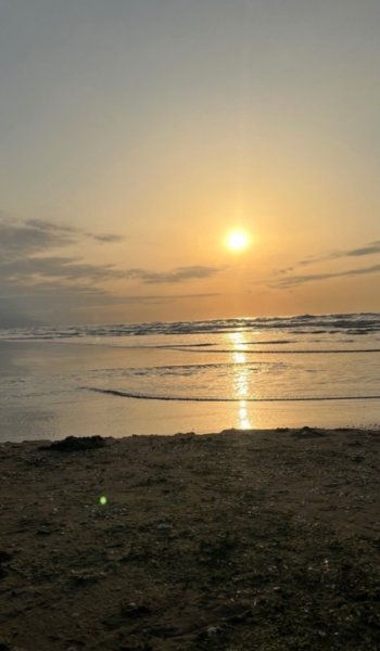 عکس سالیوان و بو برای بک گراند