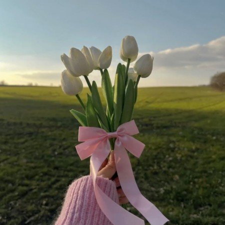  عکس مینیمال کیوت