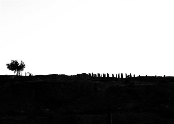  عکس مینیمال طبیعت