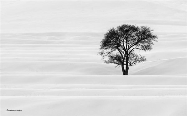  عکس مینیمال طبیعت