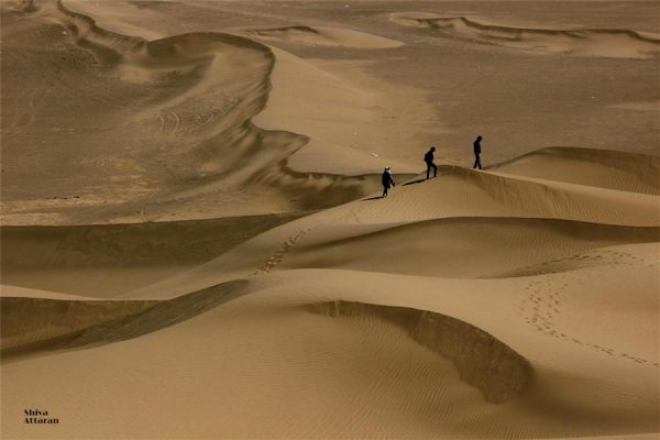  عکس مینیمال طبیعت