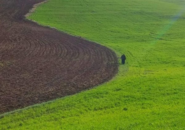  عکس مینیمال طبیعت