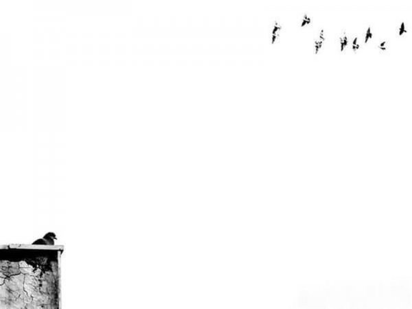  عکس مینیمال طبیعت