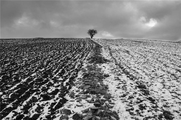  عکس مینیمال طبیعت