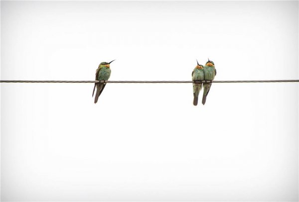  عکس مینیمال طبیعت