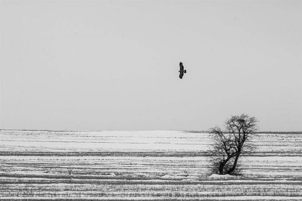  عکس مینیمال طبیعت