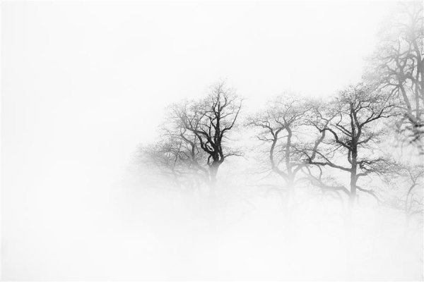  عکس مینیمال طبیعت