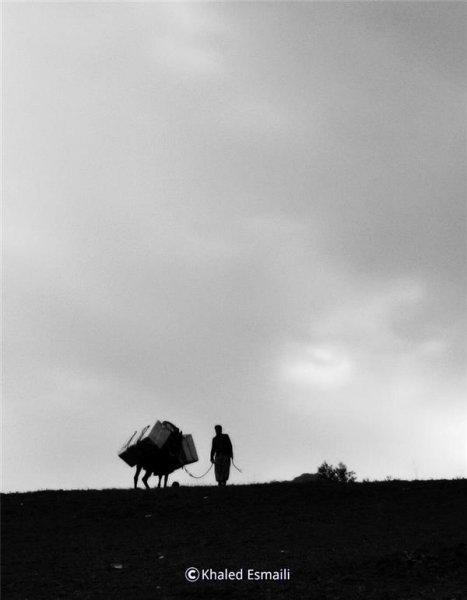  عکس مینیمال طبیعت