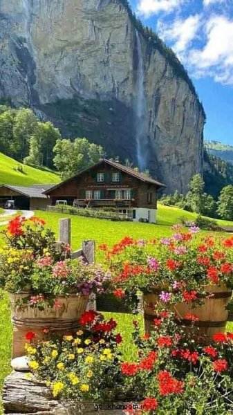  عکس طبیعت برای پروفایل