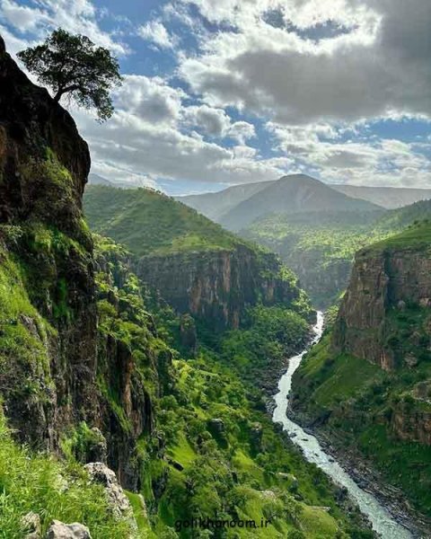  عکس طبیعت برای پروفایل