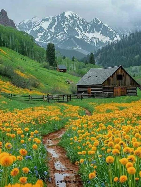  عکس طبیعت برای پروفایل