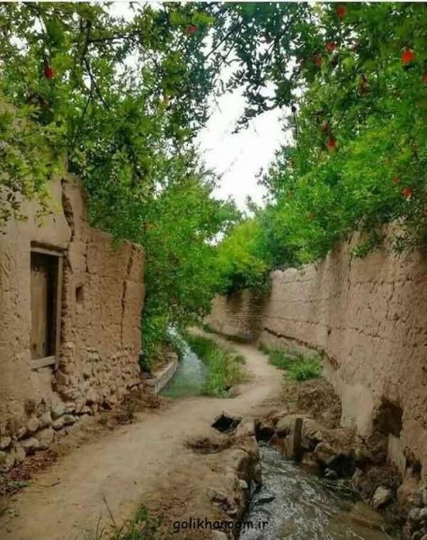  عکس طبیعت برای پروفایل