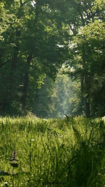  عکس طبیعت برای پروفایل