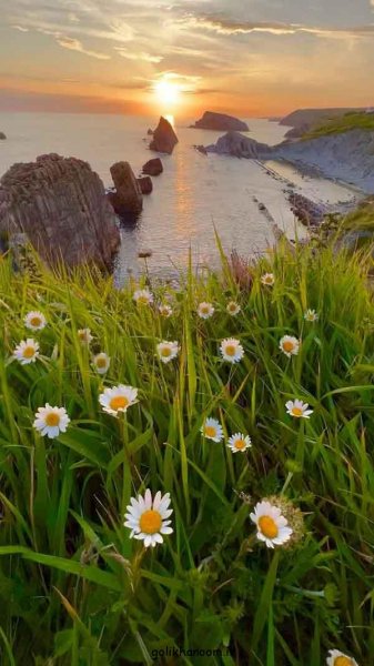  عکس طبیعت برای پروفایل