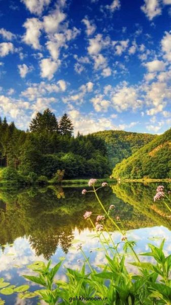  عکس طبیعت برای پروفایل