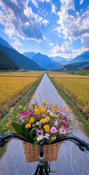  عکس طبیعت برای پروفایل