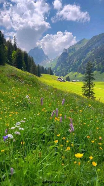  عکس طبیعت برای پروفایل