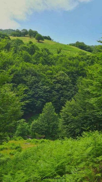  عکس طبیعت برای پروفایل