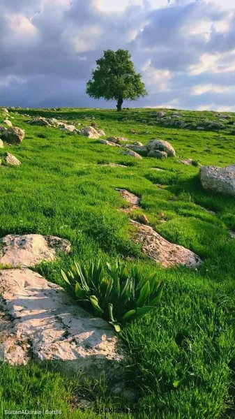  عکس طبیعت برای پروفایل