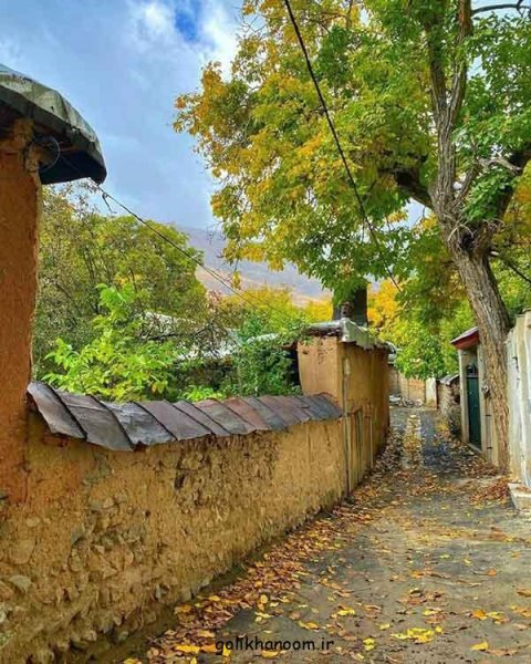  عکس طبیعت برای پروفایل