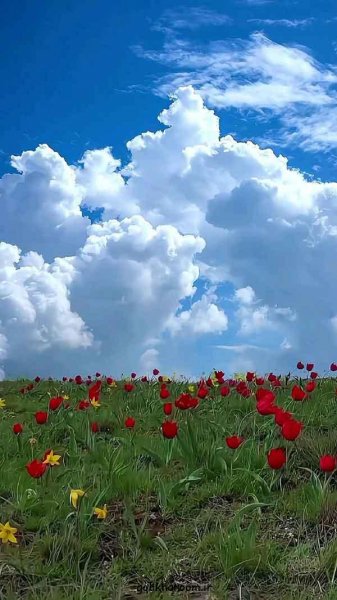  عکس طبیعت برای پروفایل