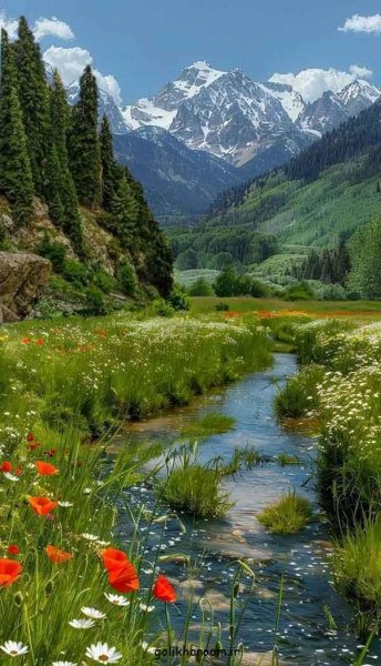  عکس طبیعت برای پروفایل