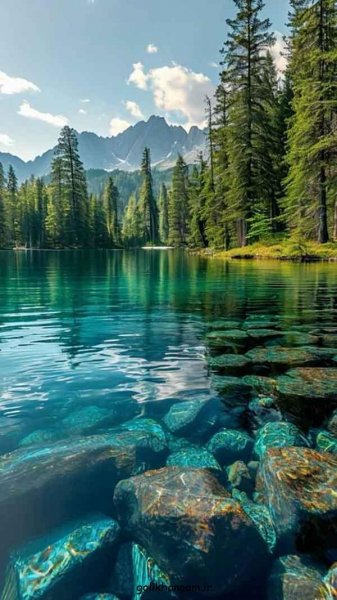  عکس طبیعت برای پروفایل