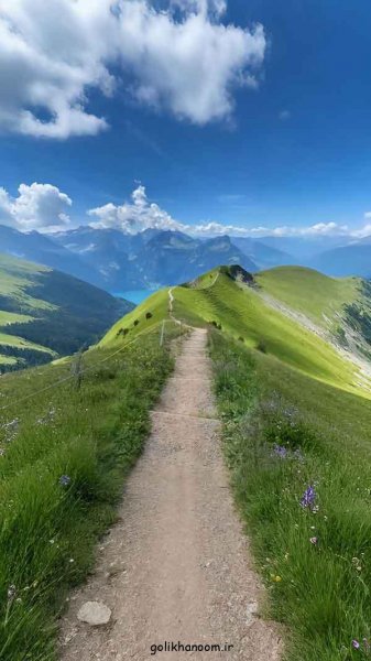  عکس طبیعت برای پروفایل