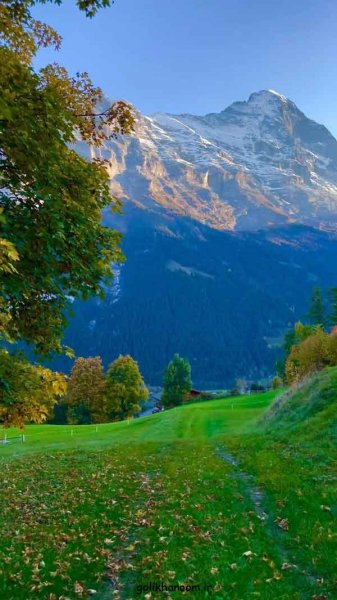  عکس طبیعت برای پروفایل