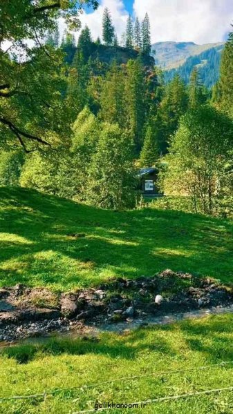  عکس طبیعت برای پروفایل