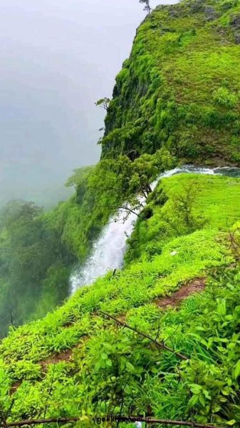  عکس طبیعت برای پروفایل