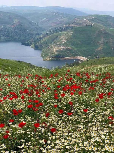  عکس طبیعت برای پروفایل