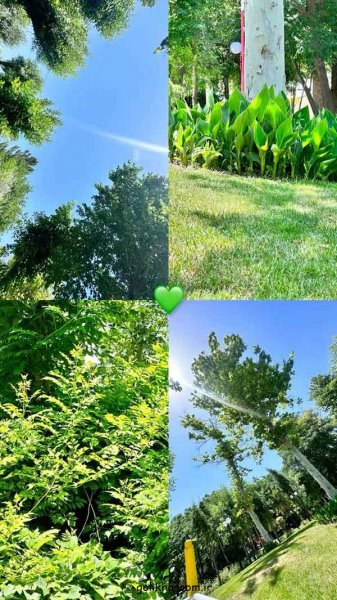  عکس طبیعت برای پروفایل