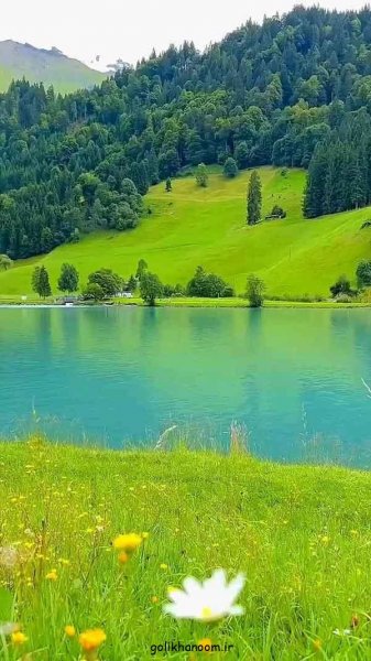  عکس طبیعت برای پروفایل