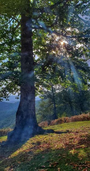  عکس طبیعت برای پروفایل