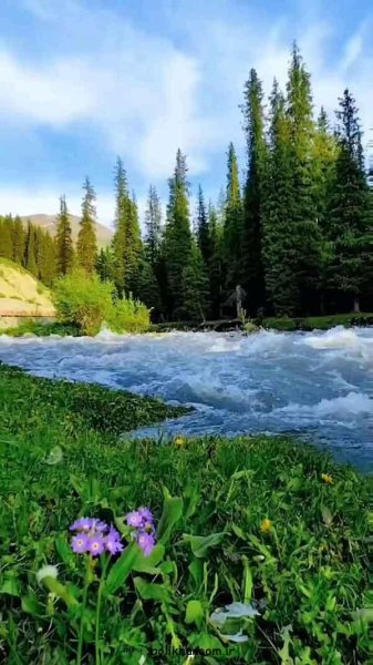  عکس طبیعت برای پروفایل