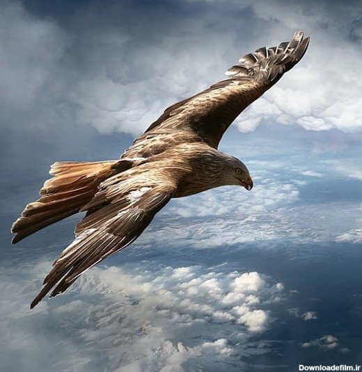  عکس طبیعت برای پروفایل مردانه