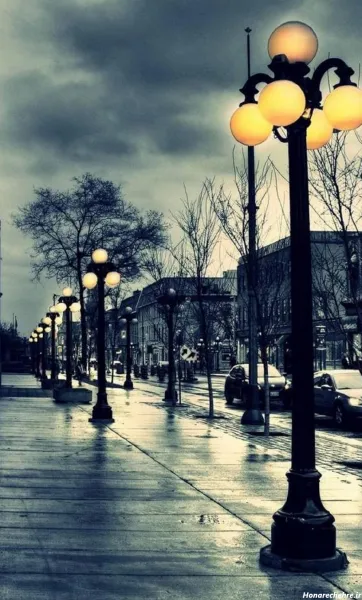  عکس صورتی ساده