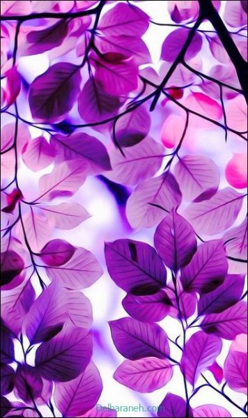  عکس پروفایل صورتی و بنفش