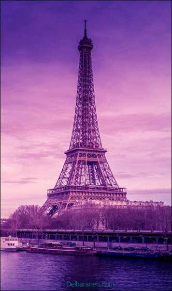  عکس پروفایل صورتی و بنفش