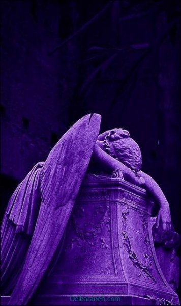  عکس پروفایل صورتی و بنفش