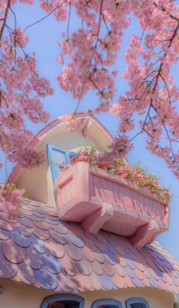  عکس صورتی برای پروفایل