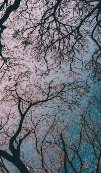  عکس صورتی برای پروفایل